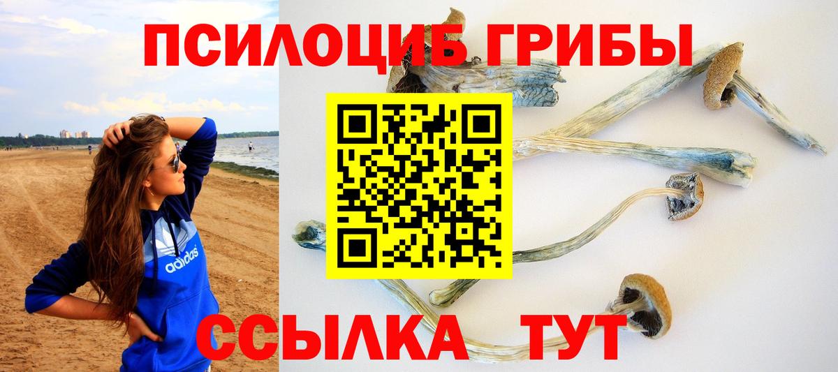 Галлюциногенные грибы Magic Shrooms  Галлюциногенные грибы мицелий  Железногорск  Вход с VPN 